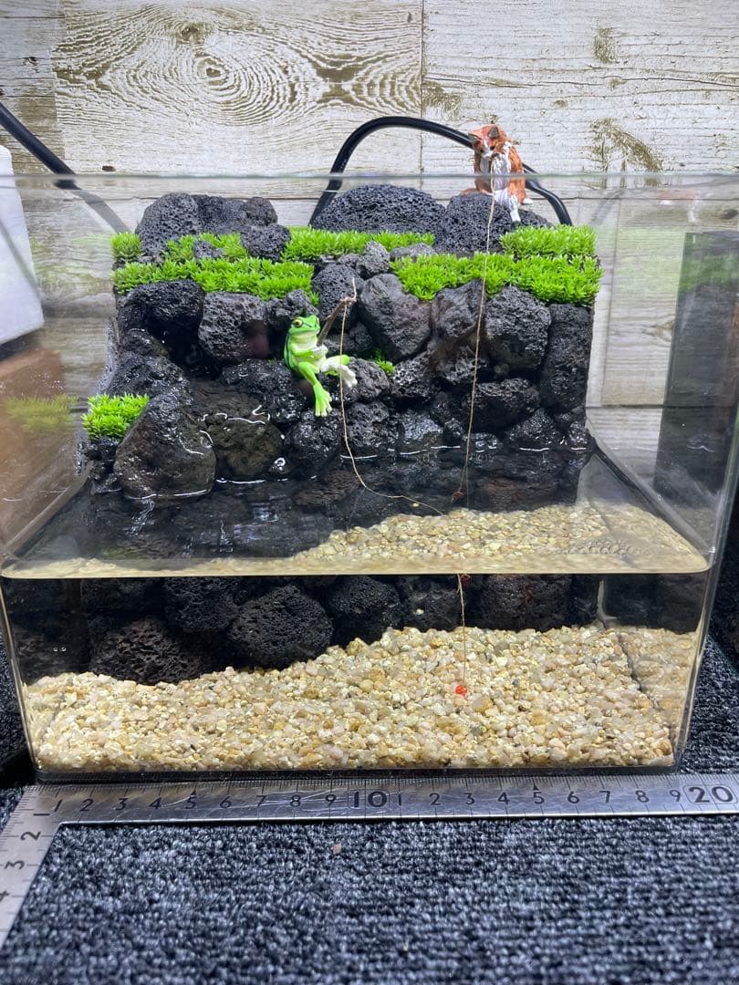 アクアテラリウム　溶岩石　No.7