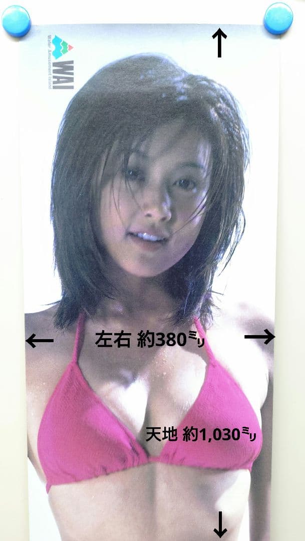 藤原紀香 水着ポスター よみうりランド 荒木経惟撮影