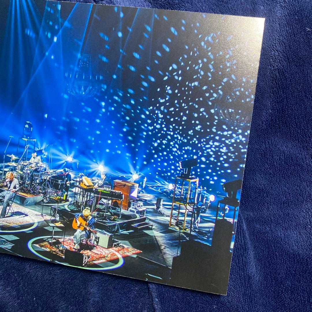 SUPER BEAVER パネル アコースティックツアー