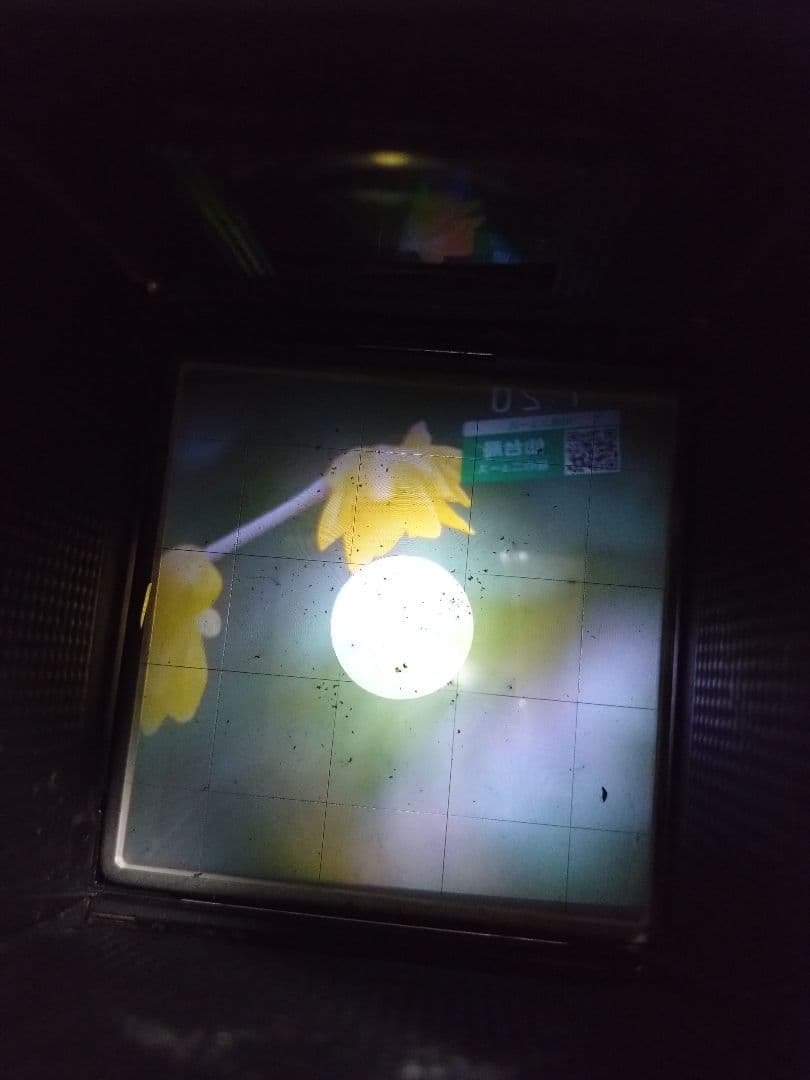 フィルムカメラ Hasselblad 500C/M