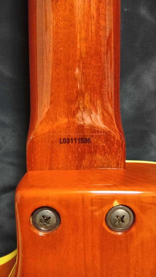 BUSKERのレスポールタイプ