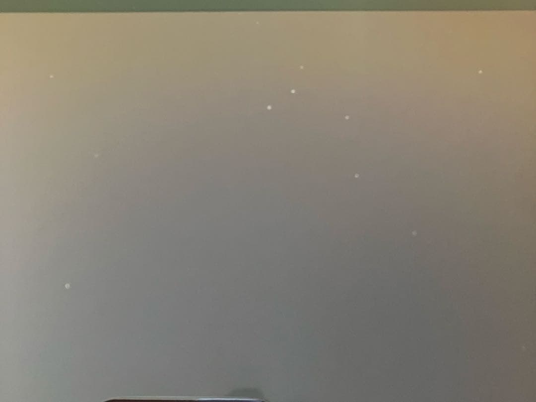 【完動品】iPad Pro 11インチ 第2世代 256GB 【すぐ発送】