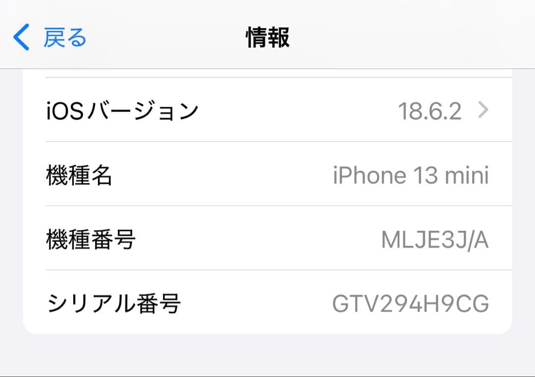 Apple iPhone 13 mini 本体 充電器付き