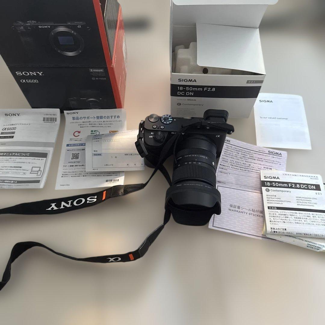 村山　SONY α6600 & SIGMA 18-50mm F2.8
