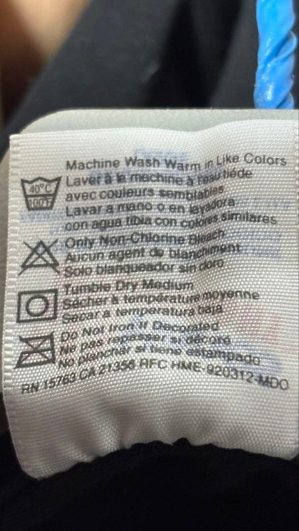 Lサイズcheck your head ヴィンテージTシャツ