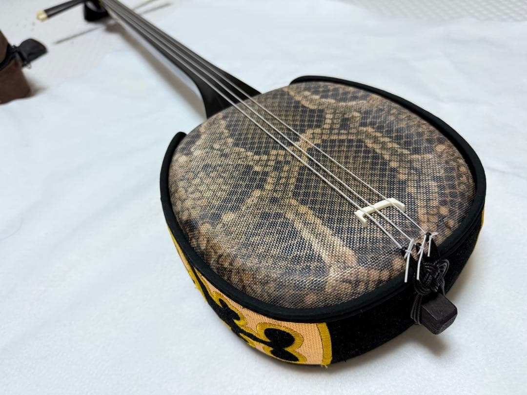 三線本体と専用ケース