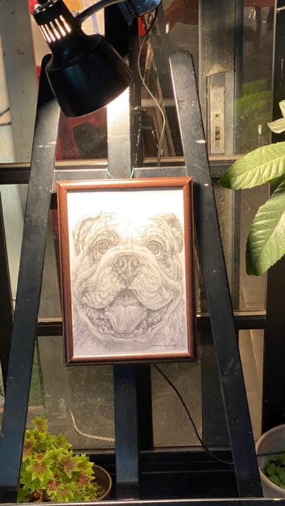 「鉛筆画アート　商品名　ドッグ　　新品未使用