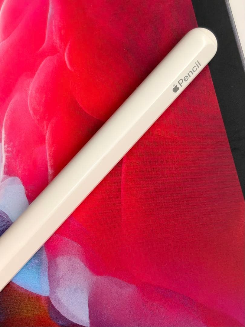 11インチ iPad Pro（第2世代） 256GB Wi-Fiモデル