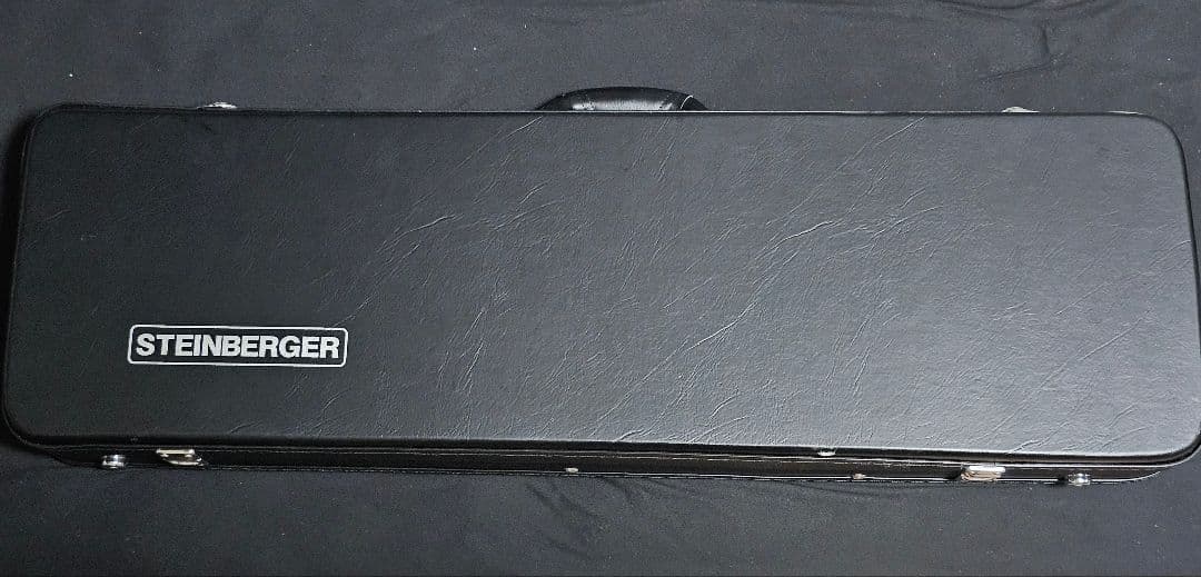 スタインバーガースピリット