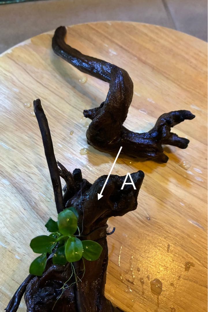 水草茂「かまきり様オーダー用」