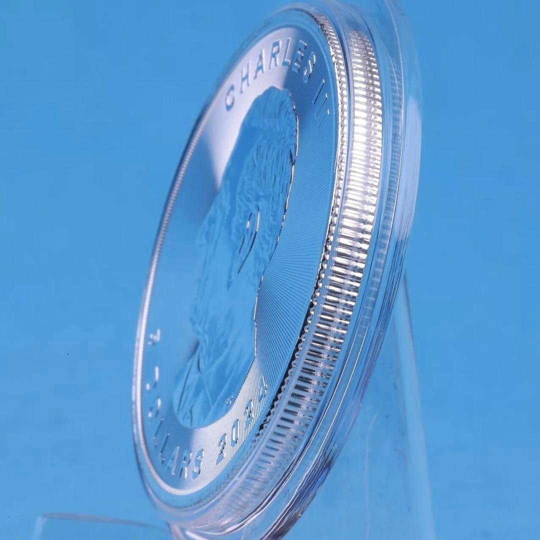 世界100枚限定！ カナダ メイプルリーフ 銀貨 カラー ハリネズミ 1オンス