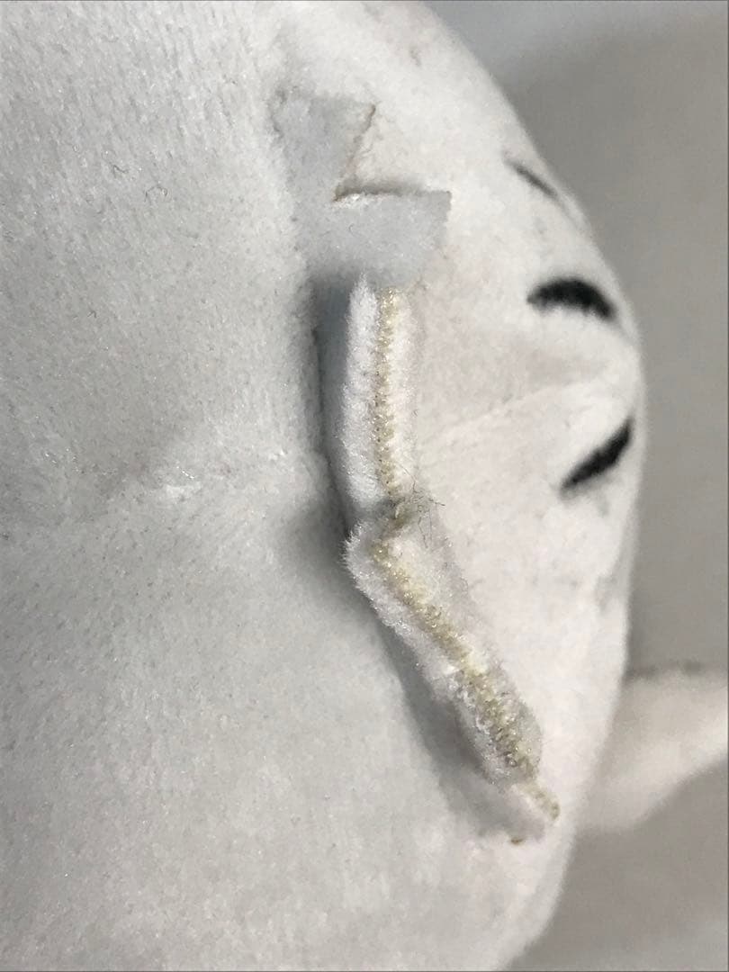 ハイキュー　だるぬい　木兎フクロウ　木兎光太郎