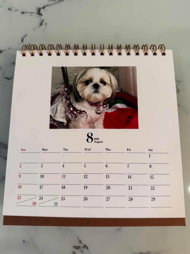 シーズーちくわの卓上カレンダー【オリジナル】