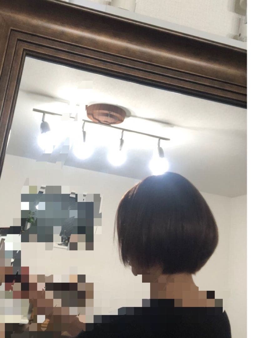 人毛100% ショートボブ　ブラウン前髪あり　未使用