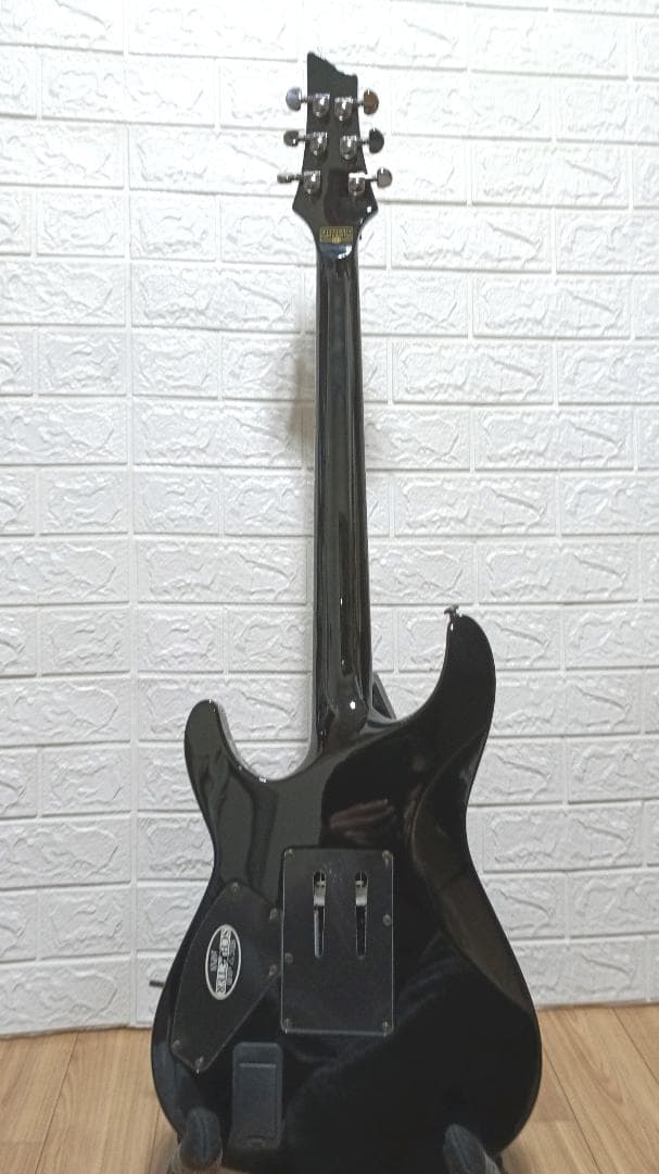 SCHECTER C-1 FR HellRaiser　美品！