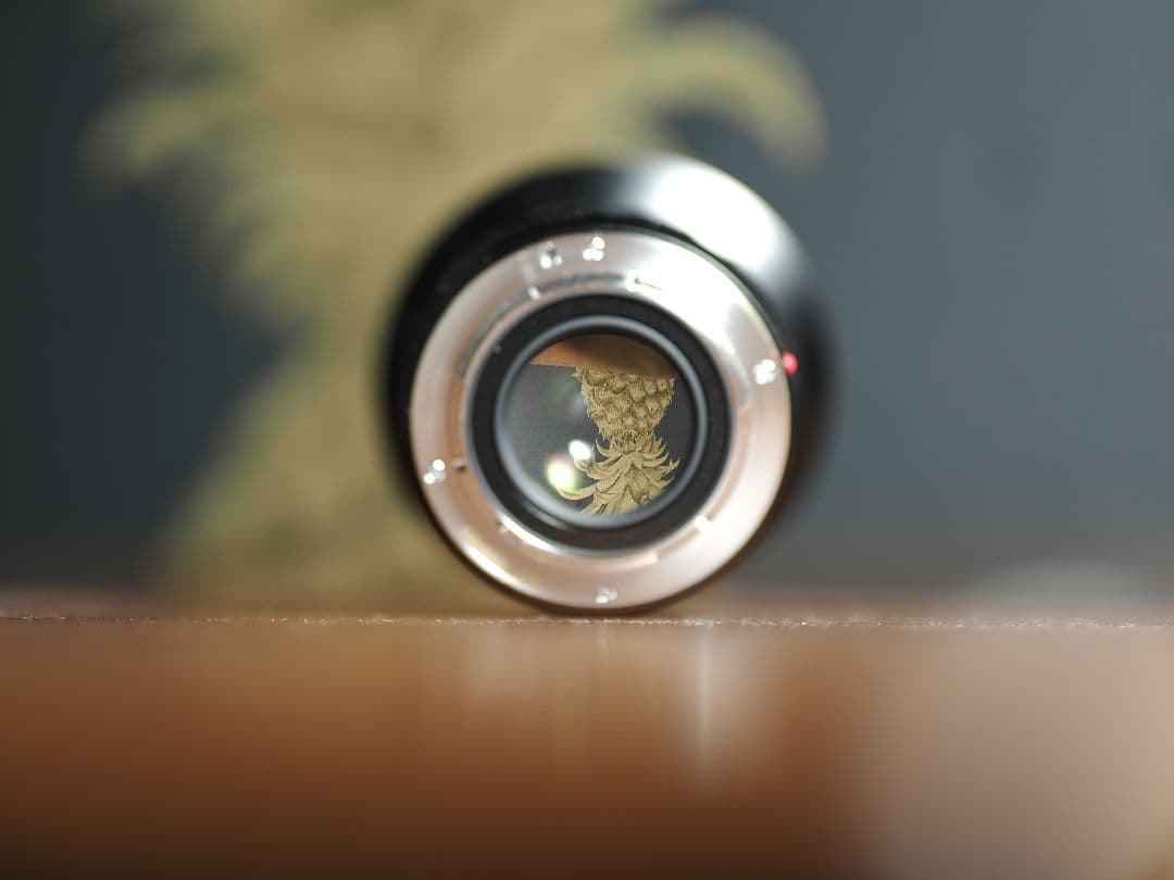 レンズ(単焦点) voigtlander NOKTON 25mm F0.95