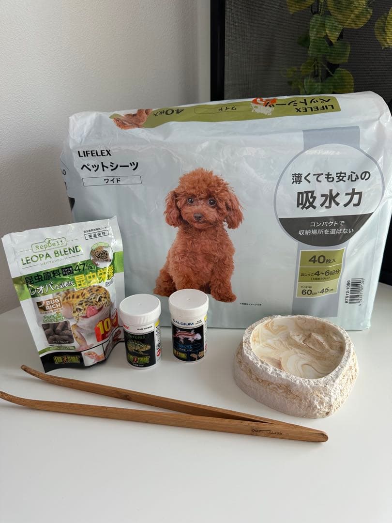 爬虫類　カメレオン　飼育　5点セット　ケージ　UVライト ヒーティングトップ