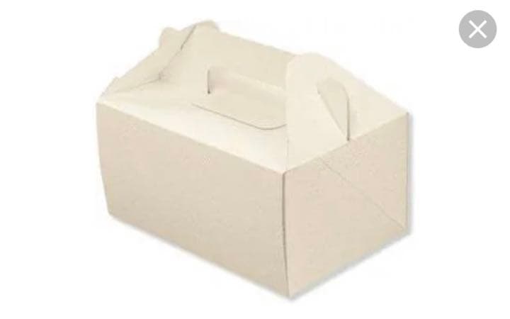 先着1名！【新品・未使用！】HEIKO エコパームボックス・540箱セット！