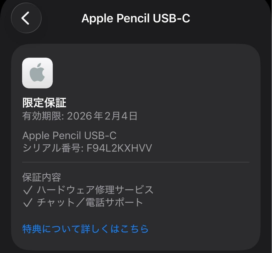 動作確認済み！【ほぼ未使用】Apple Pencil USB-Cタイプ