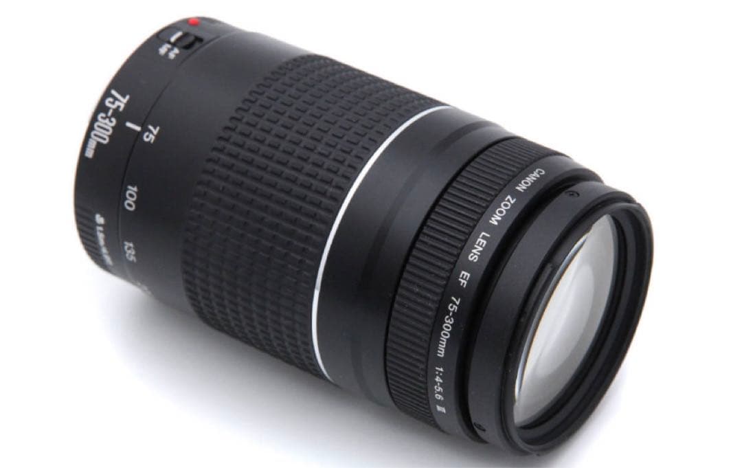 デジタル一眼レフカメラ/Canon EF75-300㎜F4-5.6 II