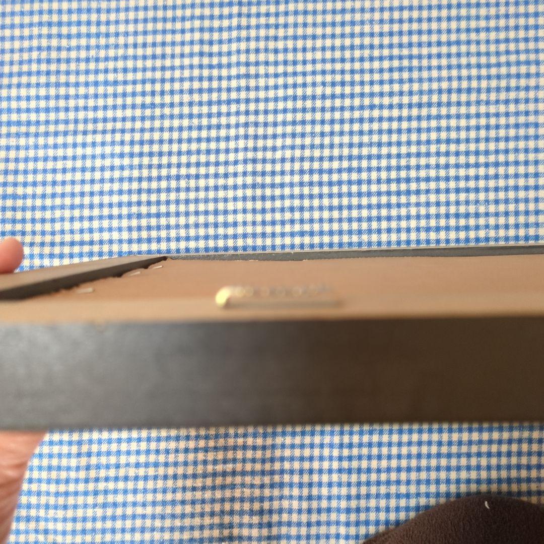 アントステラ　額　(58×32cm)位