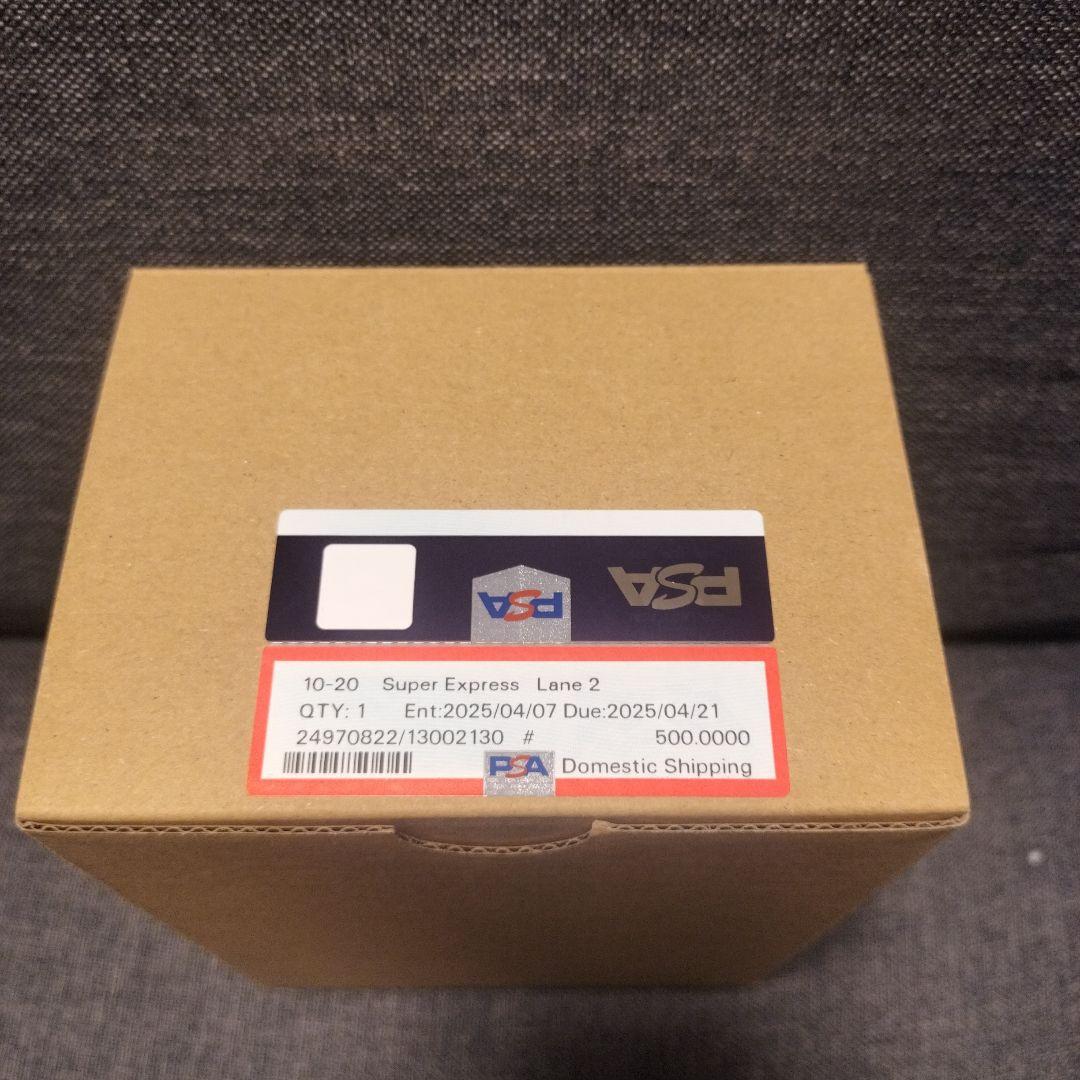 Nのゾロアークex UR エラーカード　PSA10