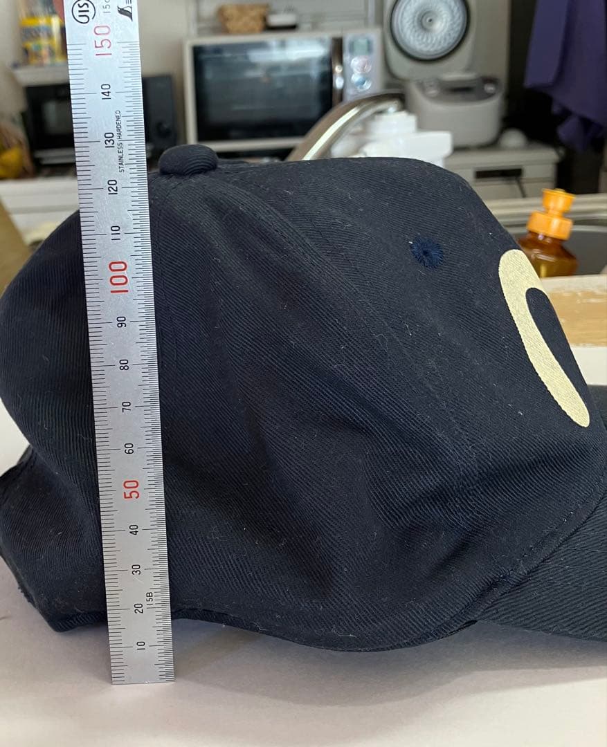 古いevisu カモメ ロゴ入り ベースボールキャップ中古品