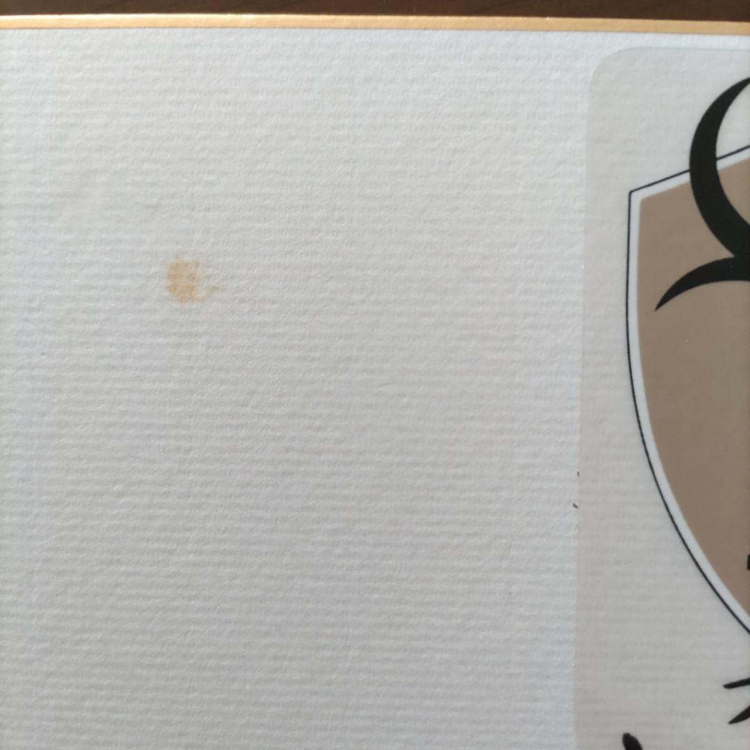 オリジナル10 鹿島アントラーズ 創設時 直筆サイン色紙 ジーコ、アルシンド他