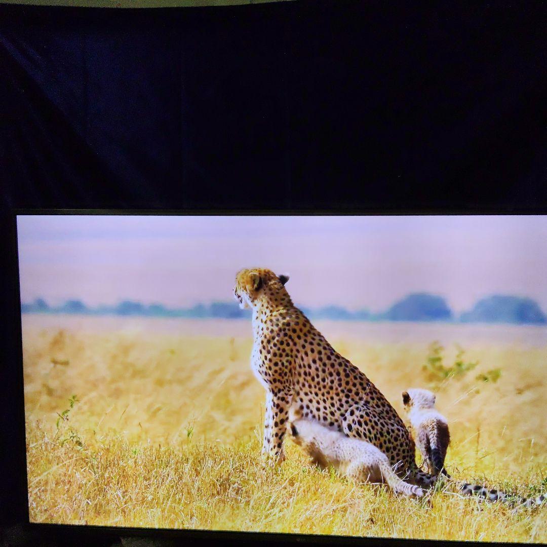 激安★LG55インチ液晶テレビ ４K HDR対応 ゲームモードあり