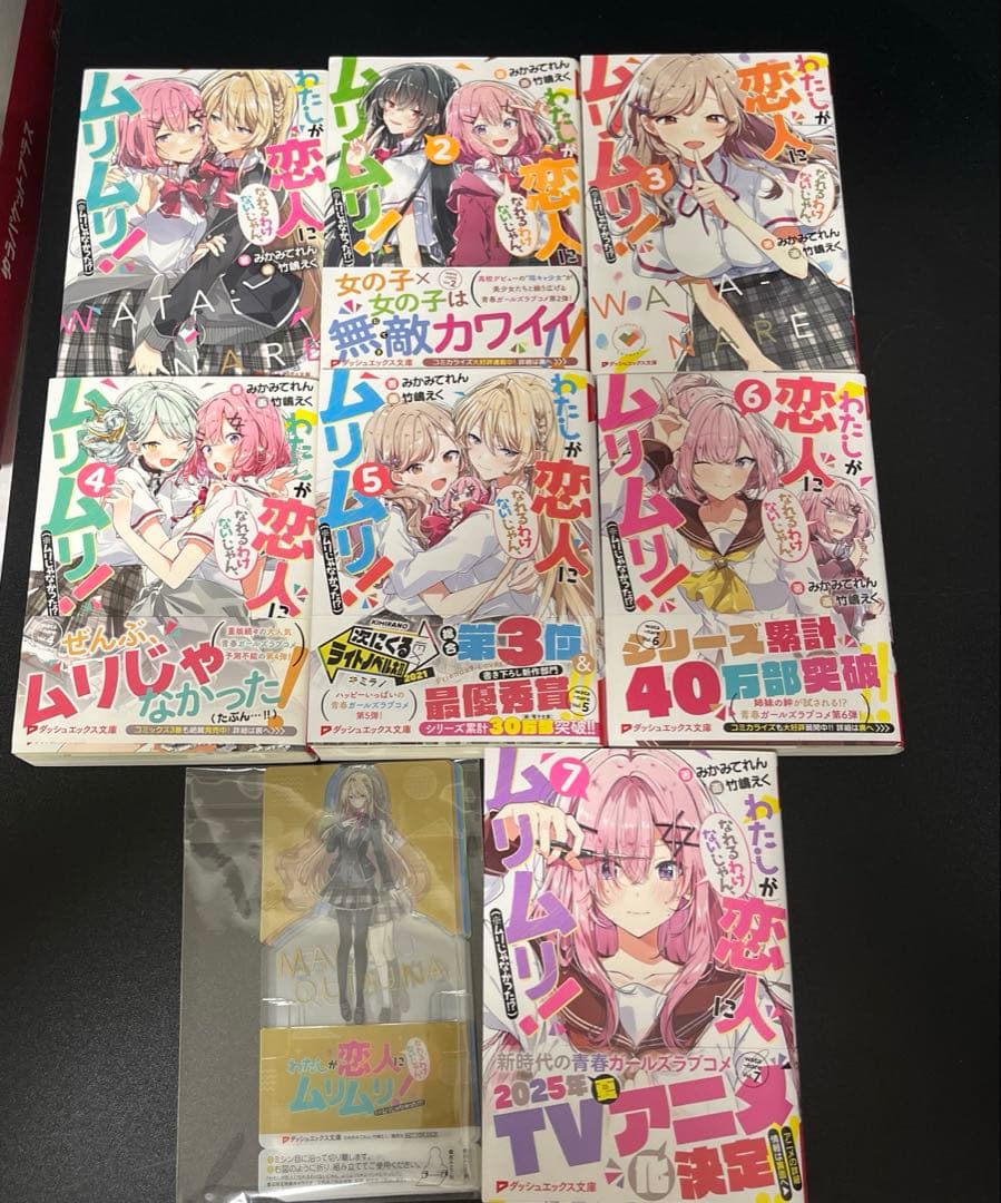 わたしが恋人になれるわけないじゃん　小説全巻初版+クリアキャラスタンド全種