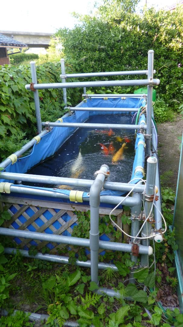 【引取限定】錦鯉用ターポリンシート池（330cm×100cm×120cm 中古）