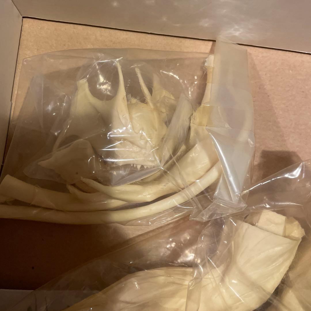 g*n様 最終価格　新品　デビルマン　1/6スケール　フューチャーモデルズ