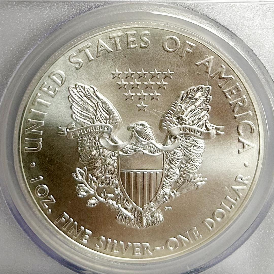 2013年 アメリカンイーグル PCGS MS70 　28258567