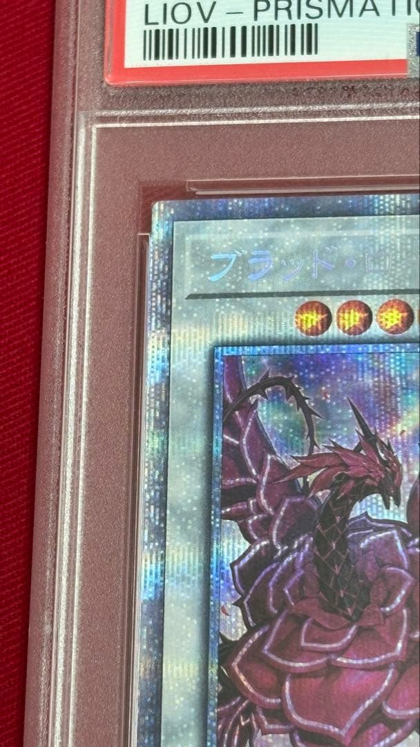 遊戯王 PSA 10 ブラッドローズドラゴン プリズマティックシークレットレア