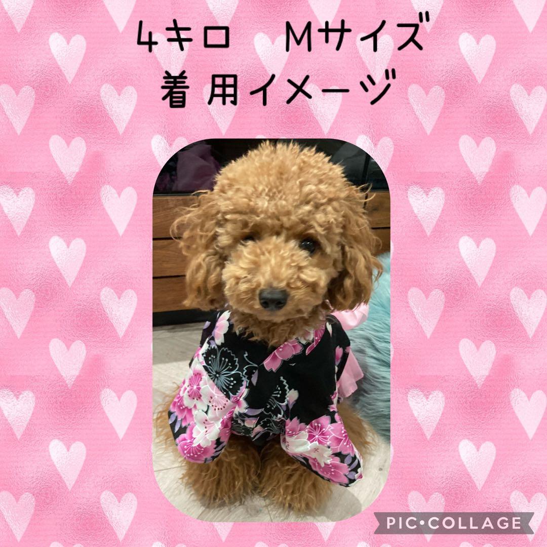 サイズ感イメージ　ハンドメイド 和柄 犬服　犬 着物　浴衣　和服　お祭り　夏