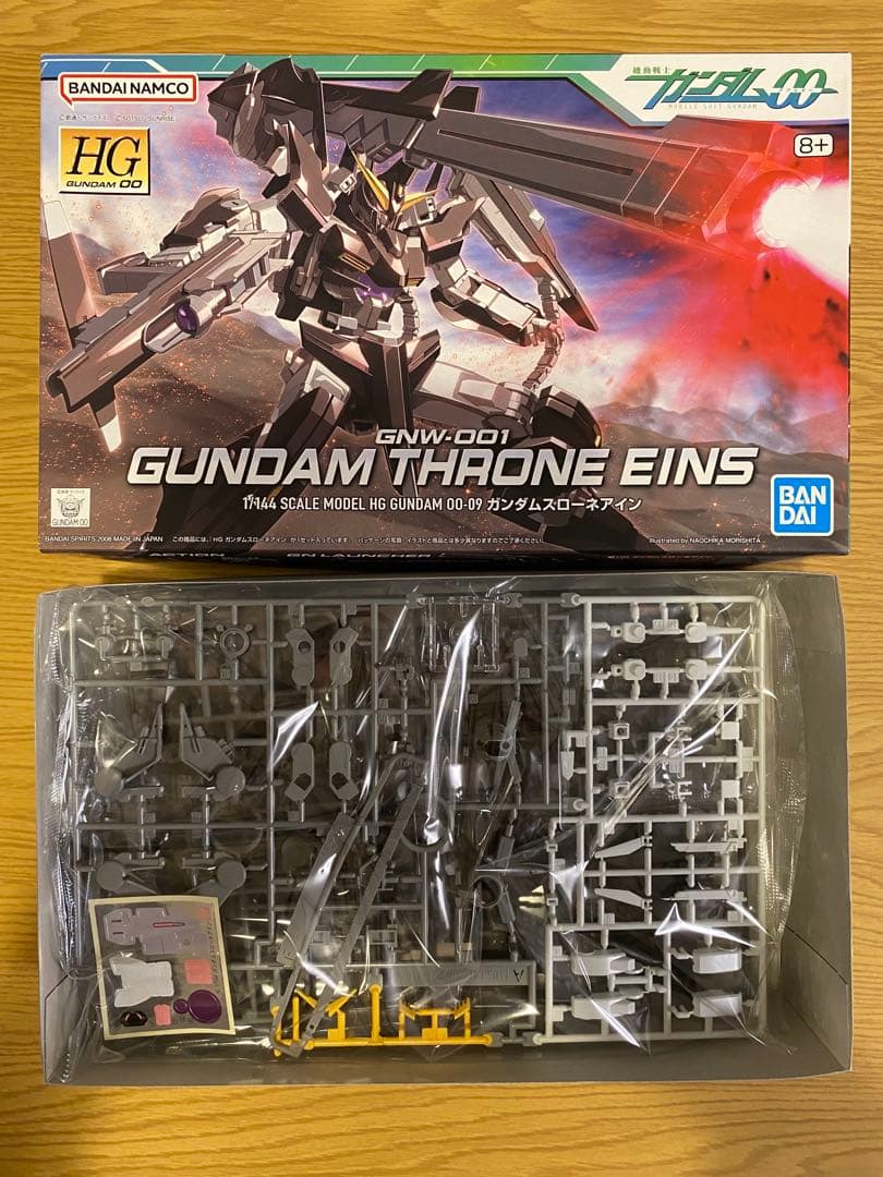 HG MG ダブルオーガンダム　ガンプラセット【最終値下げ1月23日まで出品】