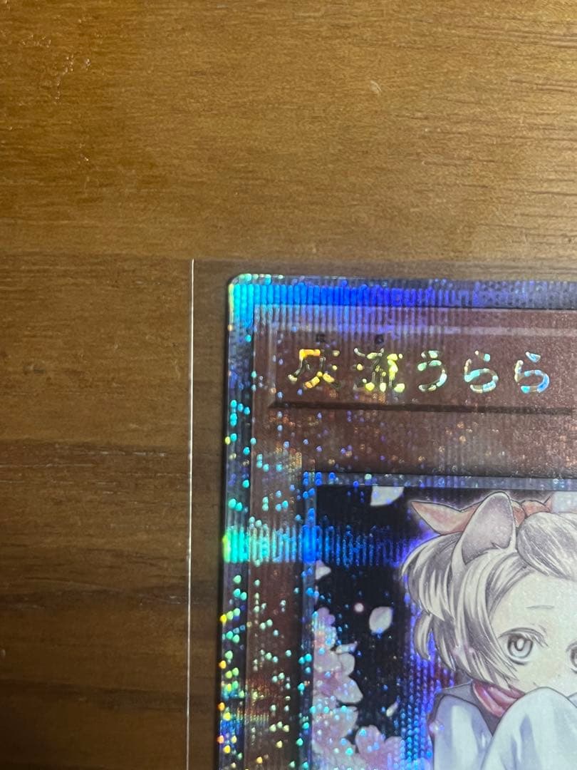 遊戯王 灰流うらら 絵違い 25thシークレット　クオシク　QCAC-JP050