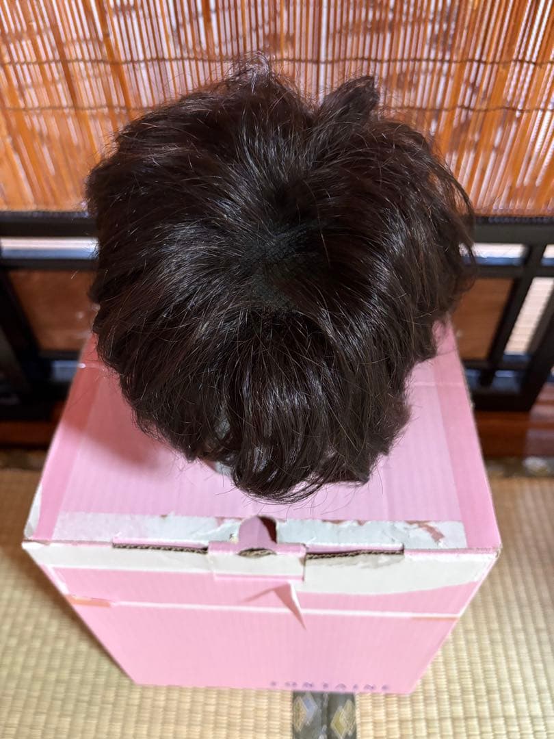 ダークブラウンショートウィッグ