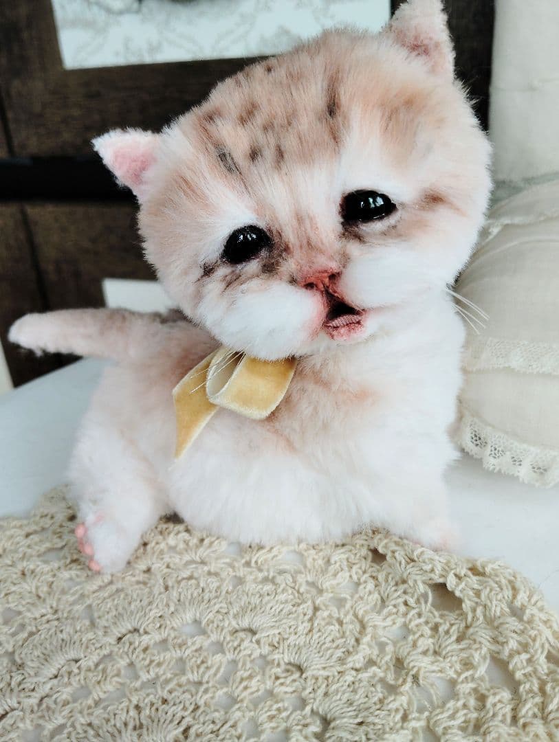 １体限定❤マンチカン子猫ちゃん♡ぽちゃボディ♡よちよちあんよ♡アートドール♡