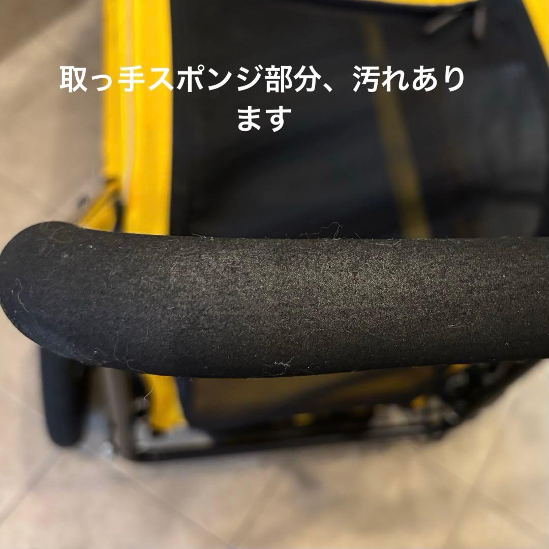 わ*す様 AIRBUGGY エアバギーキャリッジ