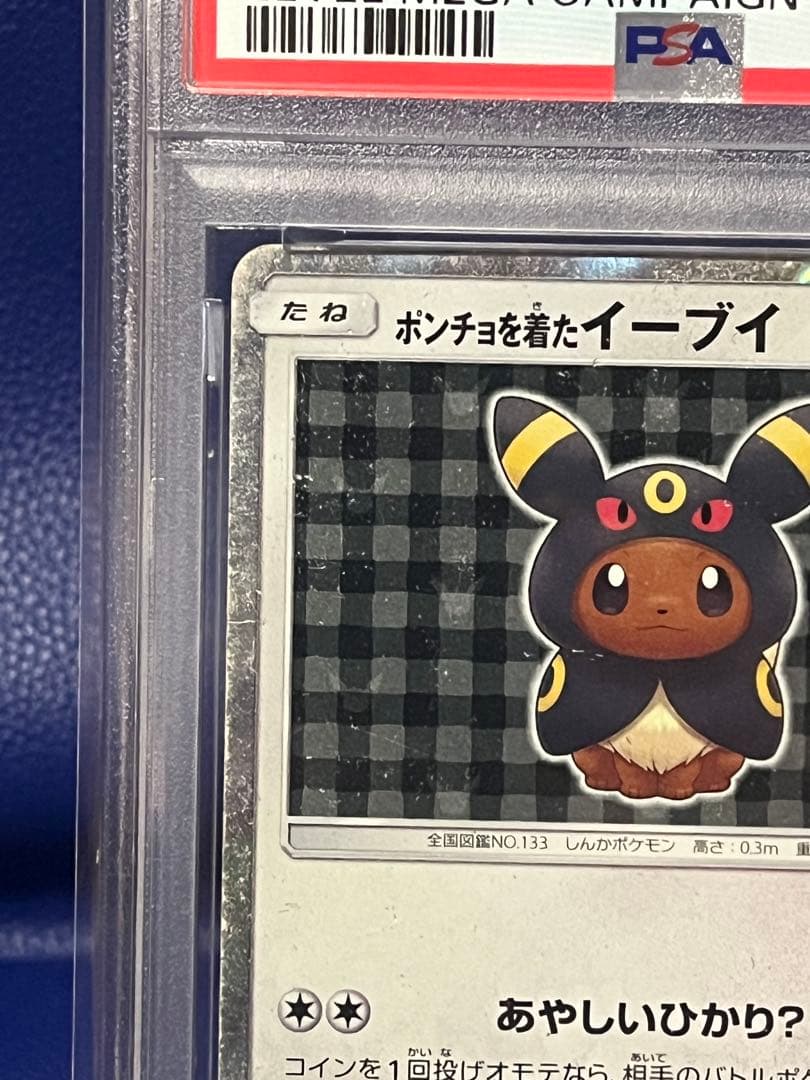 【歴戦個体】ポンチョを着たイーブイ（ブラッキー） PROMO SM-Pプロモ