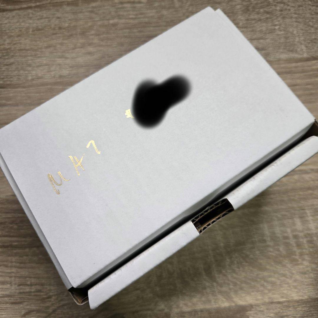 ギター Leqtique Maestoso EVR