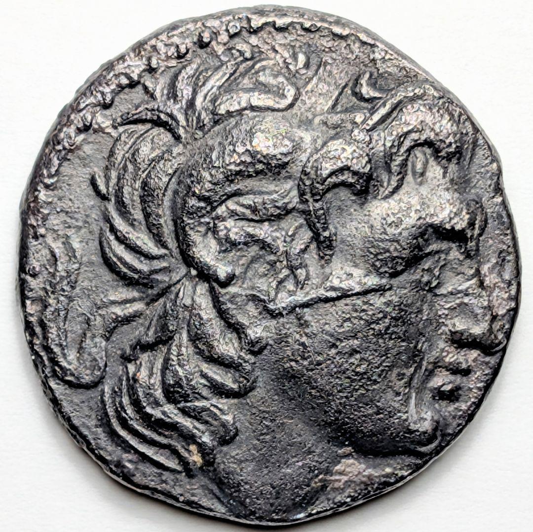 TKC125 リュシマコスのテトラドラクマ