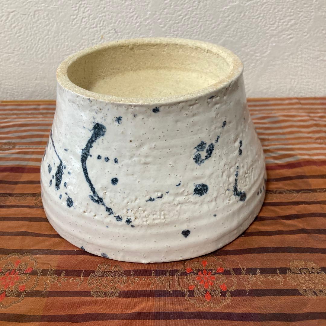 爬虫類シェルター　345 白マット×黒、ブルーとピンク、赤いヒトデ