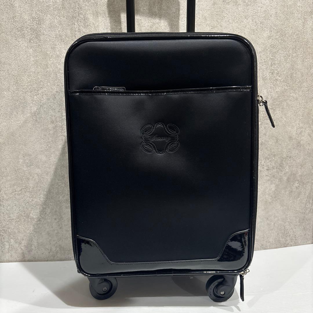 SWANY スワニー Walkin’ Bagキャリーバッグ 鍵・保証書付 美品