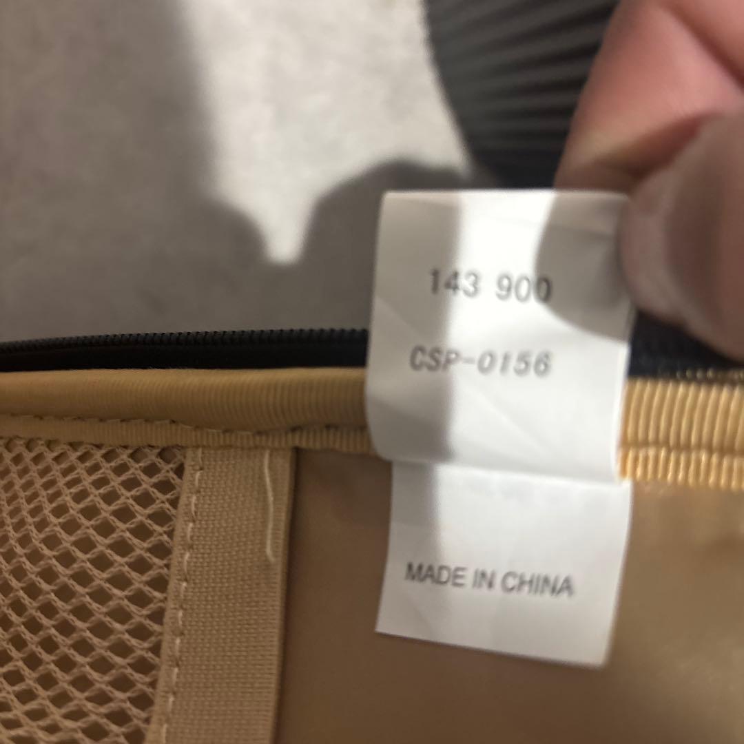 SWANY スワニー Walkin’ Bagキャリーバッグ 鍵・保証書付 美品