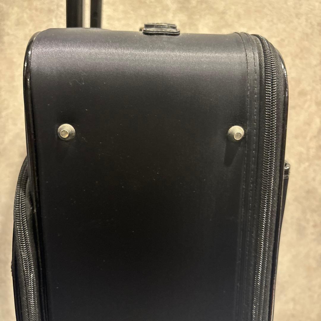 SWANY スワニー Walkin’ Bagキャリーバッグ 鍵・保証書付 美品