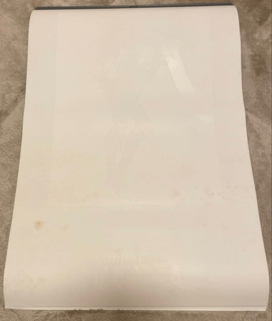 ロマンシング サ・ガ2/小林智美 1994 カレンダー 訳あり