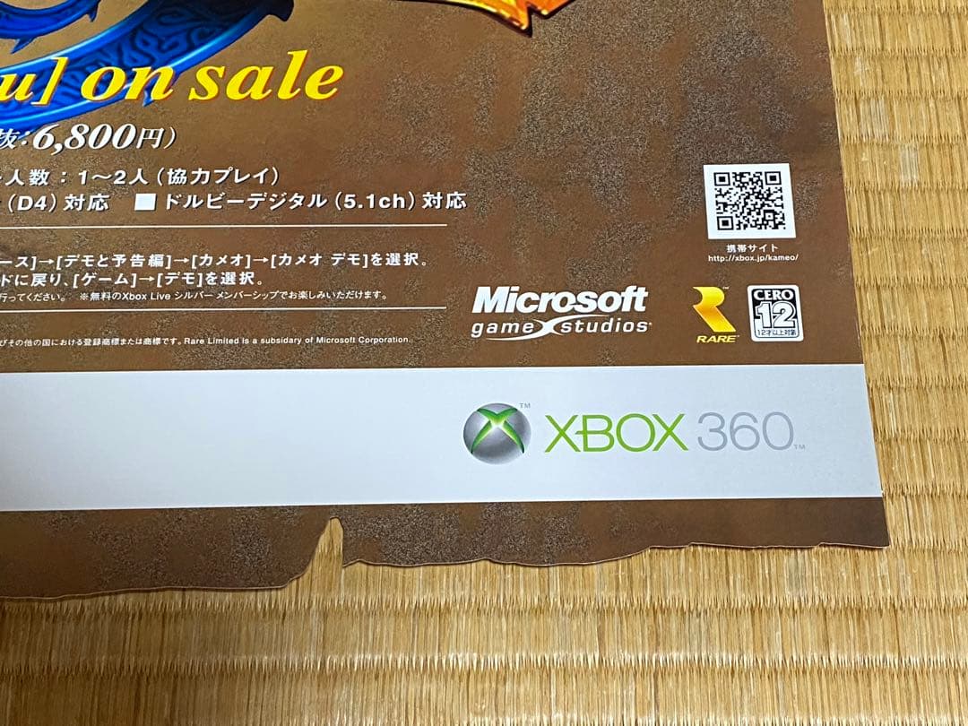 カメオ：エレメンツ オブ パワー ゲーム B2サイズポスター