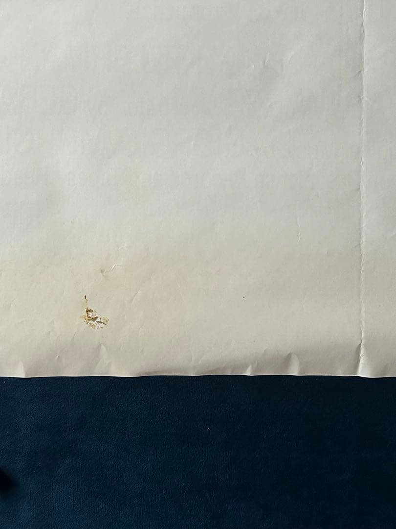 フォクシー・レディ　USオリジナル映画ポスター